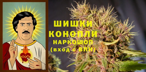 apvp Медногорск