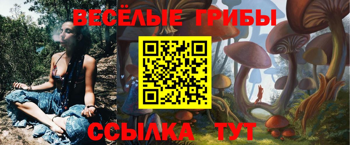 Псилоцибиновые грибы мухоморы Павлово